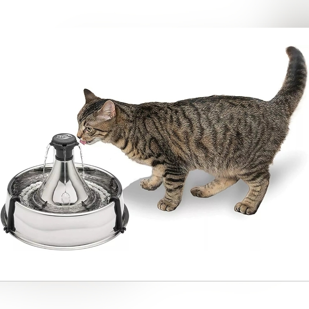 PetSafe Stainless Steel Cat Water Fountain - Silver and Black